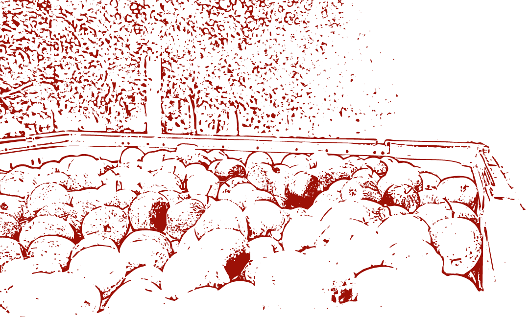 Müllers Kelterei in Querfurt